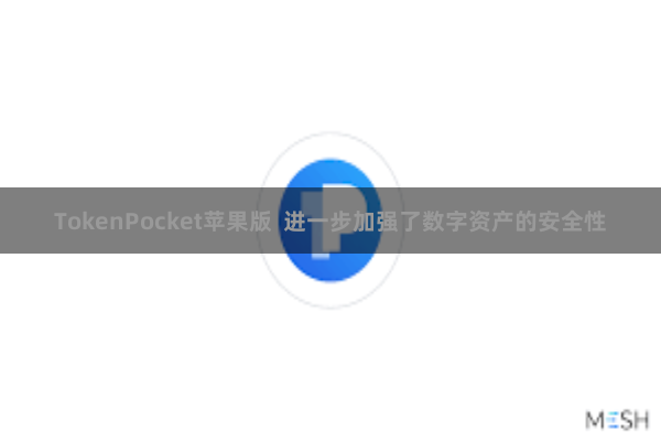 TokenPocket苹果版 进一步加强了数字资产的安全性