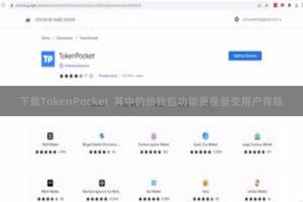 下载TokenPocket 其中的热钱包功能更是备受用户青睐