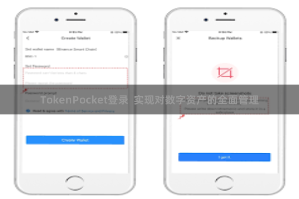 TokenPocket登录  实现对数字资产的全面管理